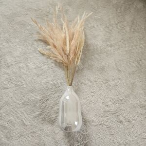Elegant Cream Vase with Pampas Grass
